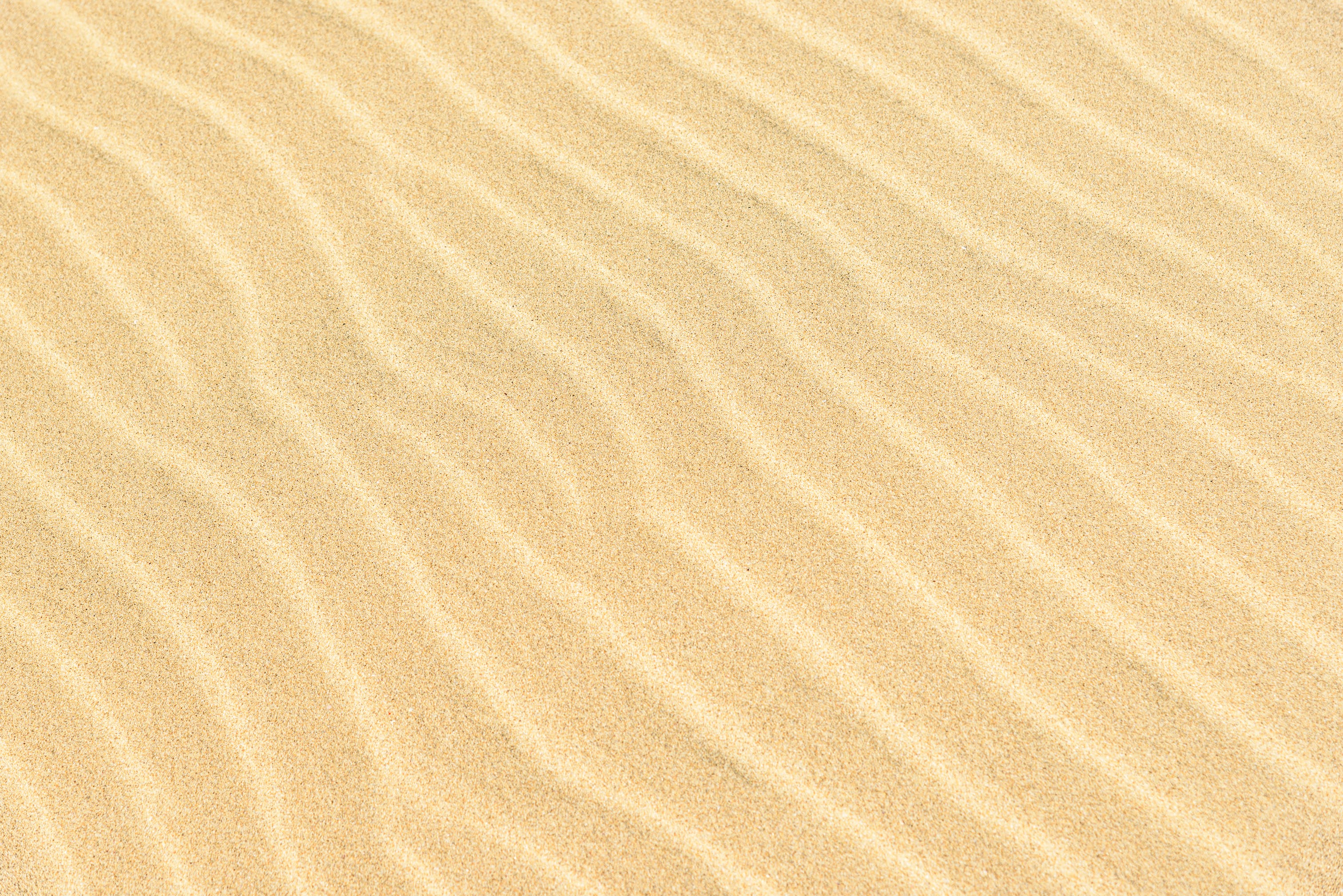 pexels-petr-ganaj-4032664.jpg__PID:ba8ab678-90ec-44d0-81b7-2b76fc1dd8af